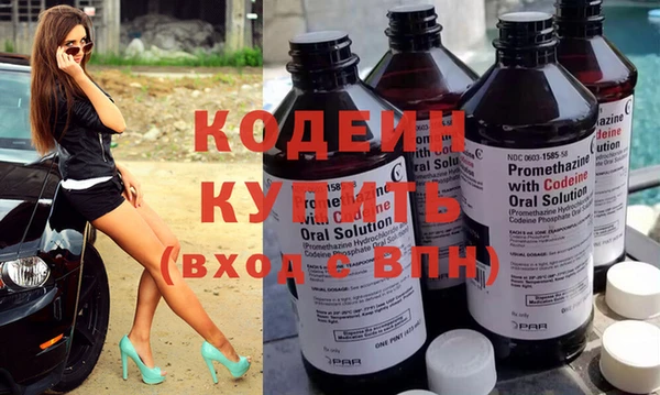 мдпв Туринск