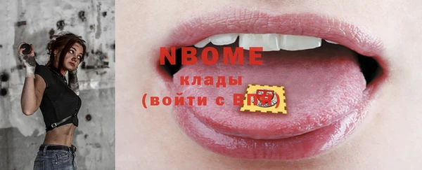 мдпв Туринск