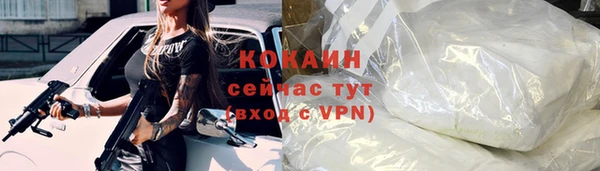 мдпв Туринск