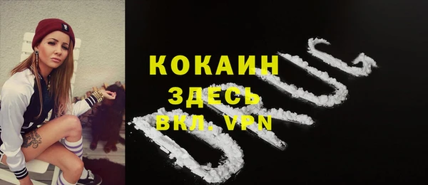 твердый Тутаев