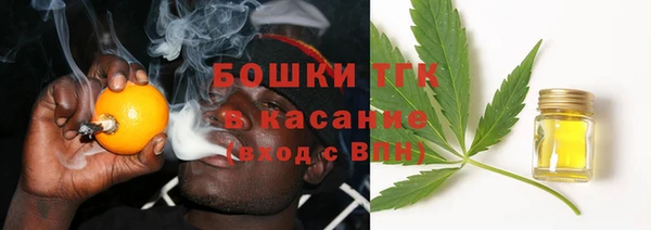 мдпв Туринск
