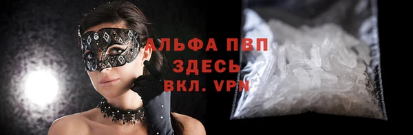 мдпв Туринск