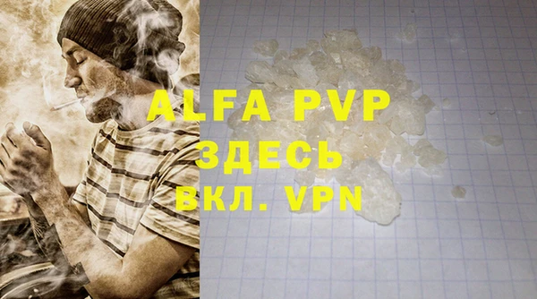 мдпв Туринск