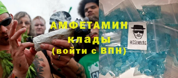 мдпв Туринск