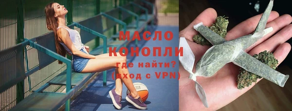 мдпв Туринск