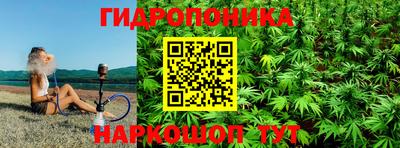 гидропоника Балахна