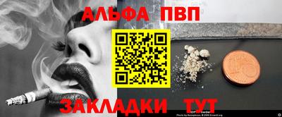 стаф Берёзовский