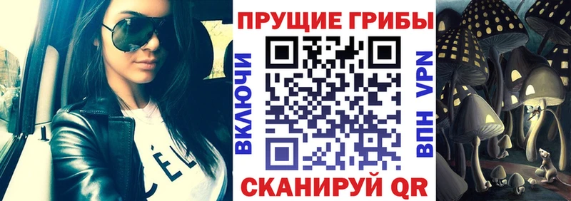 Галлюциногенные грибы GOLDEN TEACHER  купить наркотики цена  Владикавказ 