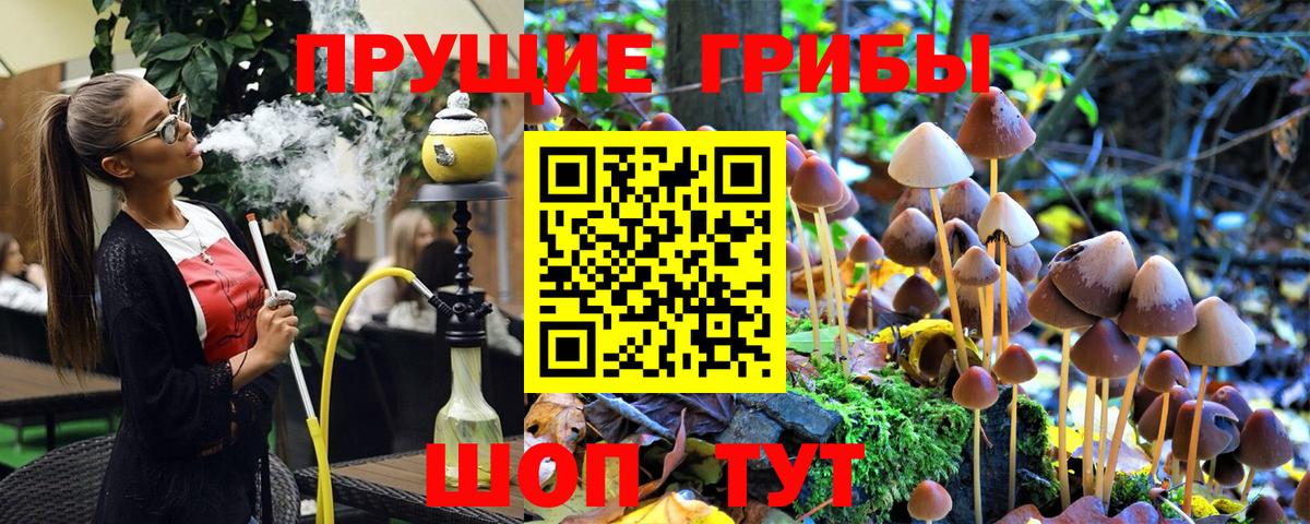 Галлюциногенные грибы MAGIC MUSHROOMS Владикавказ