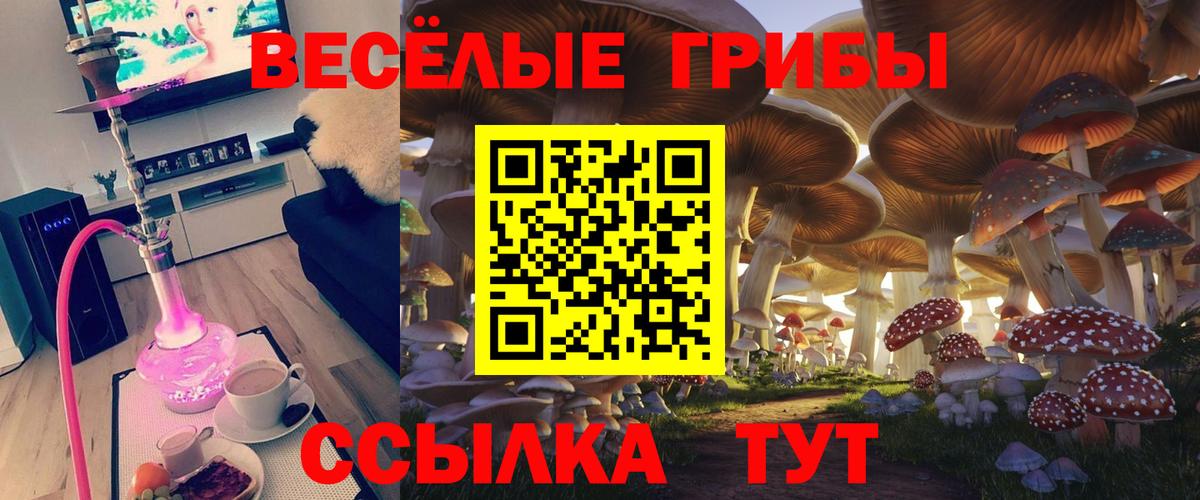 Владикавказ  Галлюциногенные грибы Magic Shrooms  Вход с VPN  закладка  Галлюциногенные грибы Psilocybine cubensis 
